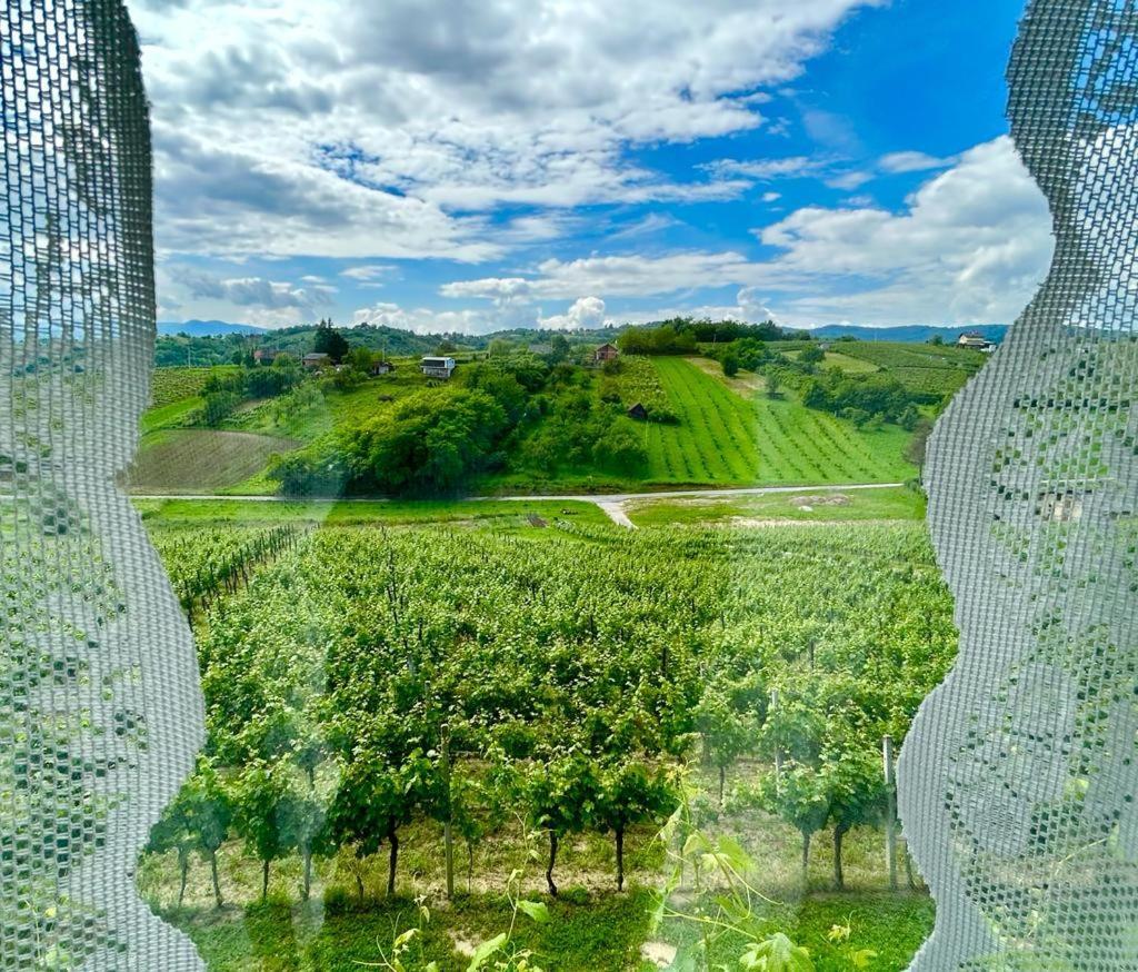 Apartment Wine Paradise Sveti Ivan Zelina Exterior foto